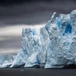 Выставка «Чистая Арктика Себастьяна Коупленда»