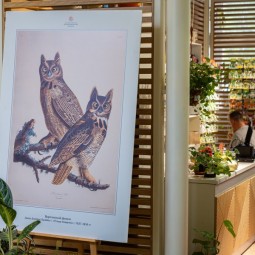 Выставка «Птицы на книжных страницах»