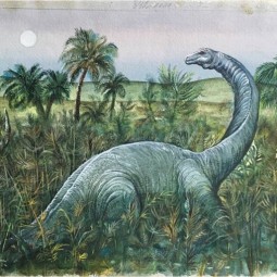 Выставка «Динозавры у тебя дома!»