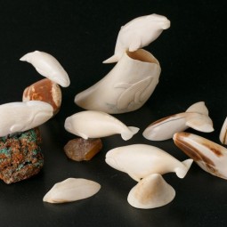 Выставка «Путешествие на Чукотку»