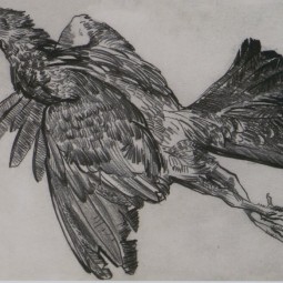 Выставка «От Москвы до Камчатки»