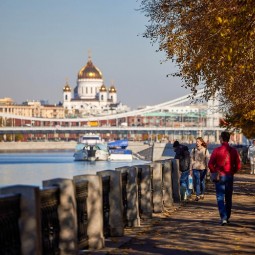 Топ-10 лучших событий на выходные 19 и 20 октября в Москве 2024