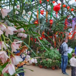 Китайский Новый год в «Аптекарском огороде» 2026