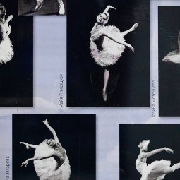 Выставка «От арабеска до нового танца»