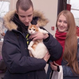 Фестиваль «Тыквы и коты» 2019