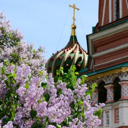 Праздник «День Покровского собора» 2023