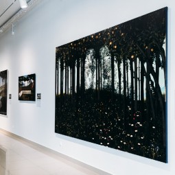 Выставка «Скрытые пространства»