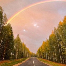 Выставка «Осмысляя города: визуальные дневники урбаниста»