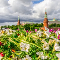 Топ-10 лучших событий на выходные с 12 по 14 июня в Москве 2026