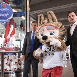 Выставка «Кубок конфедераций FIFA 2017»
