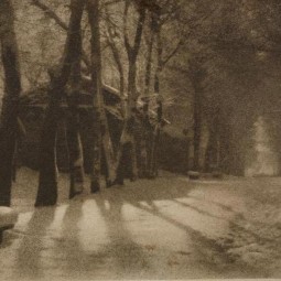 Выставка «Фотограф Николай Андреев. Мастер пикториализма»