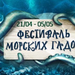Фестиваль морских гадов