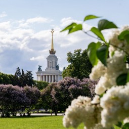 Топ-10 лучших событий на выходные 17 и 18 мая в Москве 2025