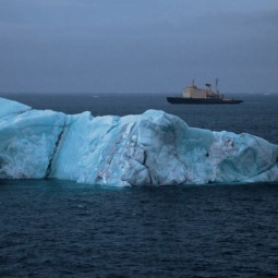 Выставка «Притяжение Арктики»