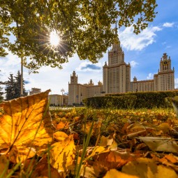 Топ-10 лучших событий на выходные 10 и 11 октября в Москве 2026