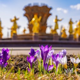 Топ-10 лучших событий на выходные 12 и 13 апреля в Москве 2025