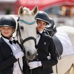 Фестиваль национальных пород лошадей в парках Москвы 2023