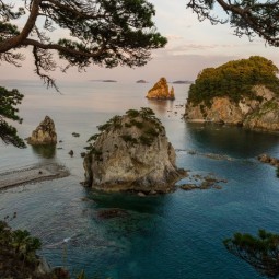 Выставка «Морские жители Земли Леопарда»