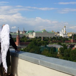 Выставка «Живите в Москве. Проект к 80-летию Д. А. Пригова»