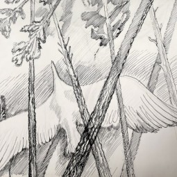 Выставка «Полёт»