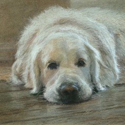 Выставка «Сонеты в цвете»