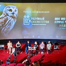 Кинофестиваль «Разумный кинематограф» 2023