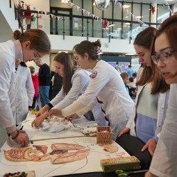 Фестиваль московской науки 2026