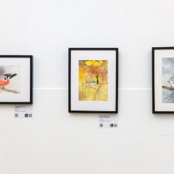 Выставка «Чудо в перьях»