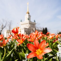 Топ-10 лучших событий на выходные с 6 по 9 мая в Москве 2023
