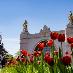 Топ-10 лучших событий на выходные 19 по 20 апреля в Москве 2025