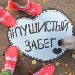 Пушистый забег в парке «Кузьминки» 2016