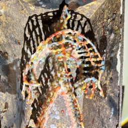 Выставка «Гриша | Вадим Сидур. Театр отсутствия»