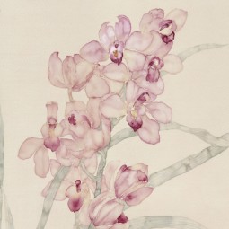 Выставка «Павильон орхидей»