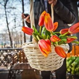 8 марта в московских парках 2015