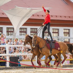 Фестиваль «Месяц на коне» 2022