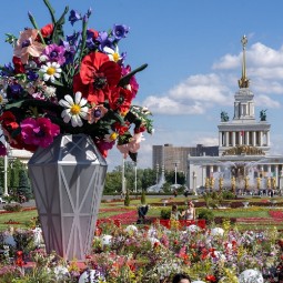 Топ-10 лучших событий на выходные 26 и 27 июля в Москве 2025