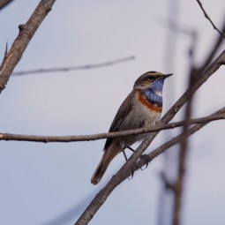 Фестиваль документального кино «Разумный кинематограф» 2025