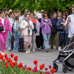 День любви, семьи и верности на ВДНХ 2025