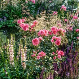 Фестиваль садов и цветов «Moscow Flower Show» 2019