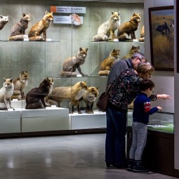 День старшего поколения в Дарвиновском музее 2022