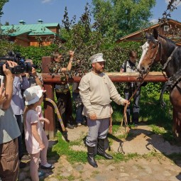 День лошади в Коломенском 2016