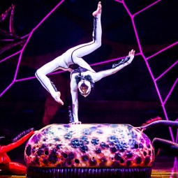 Шоу Cirque du Soleil «OVO» 2018