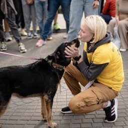 Фестиваль «Собаки, которые любят» 2022