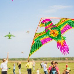 Фестиваль авторских воздушных змеев «ЛеТатлин №4» 2022