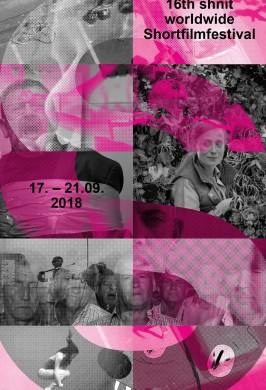 Программа Shnit Worldwide Shortfilmfestival «Silent Pink»