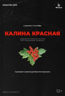 Калина красная. Плёнка 35мм