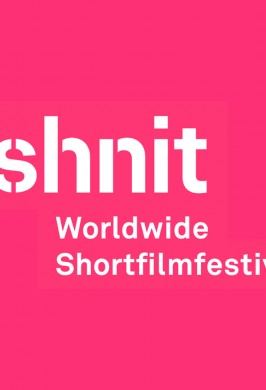 Программа Shnit Worldwide Shortfilmfestival «Worldwide Competition 2»