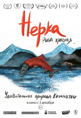 Нерка. Рыба красная