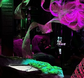 Иммерсивная мультимедиа выставка «SENSE. Почувствуй стихии»