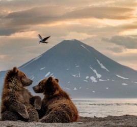 Фестиваль природы «Первозданная Россия» 2026